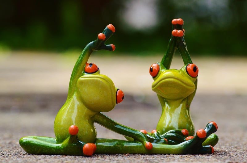 Fitness Equipment